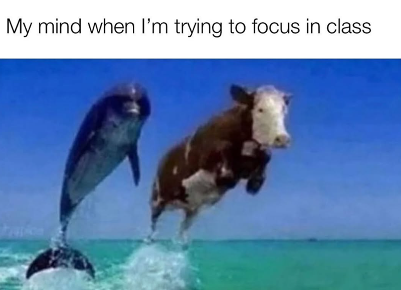 My mind when I'm trying to focus in class. Fation
