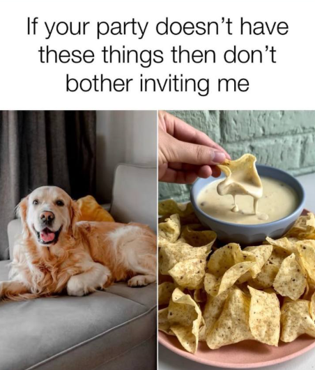 If your party doesn't have these things then don't bother inviting me