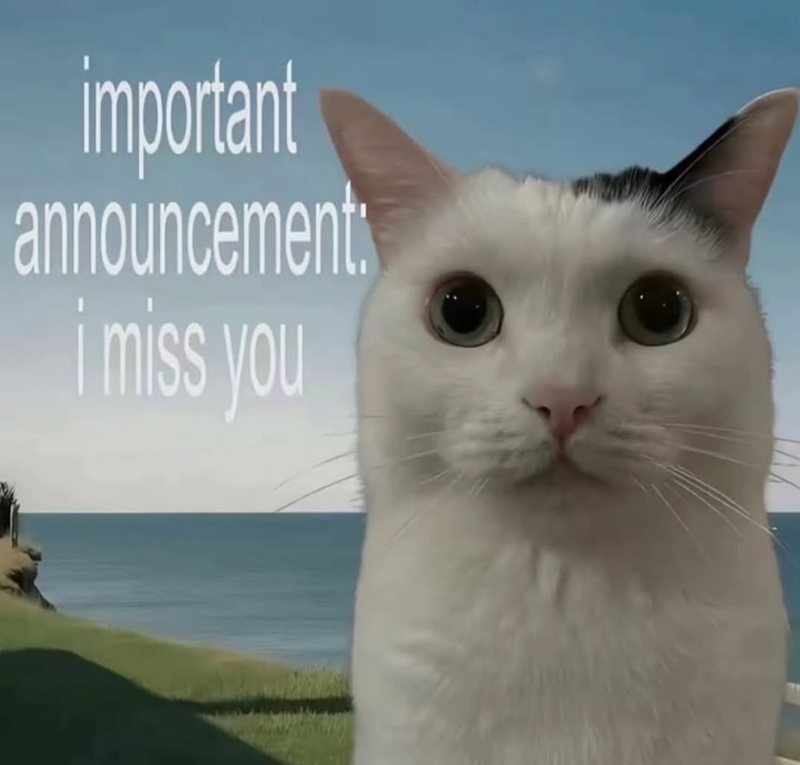 important announcement: i miss you