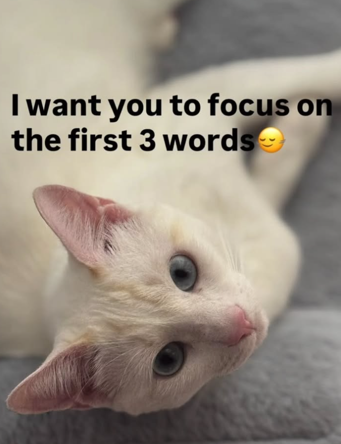 I want you to focus on the first 3 words →