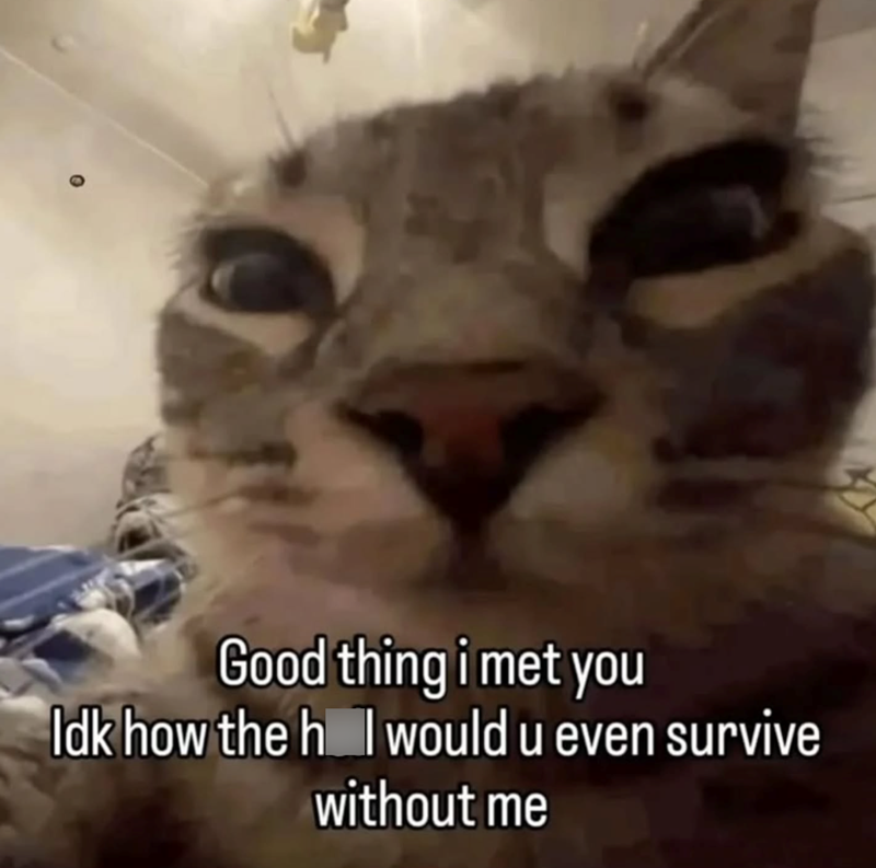 Good thing i met you Idk how the h I would u even survive without me