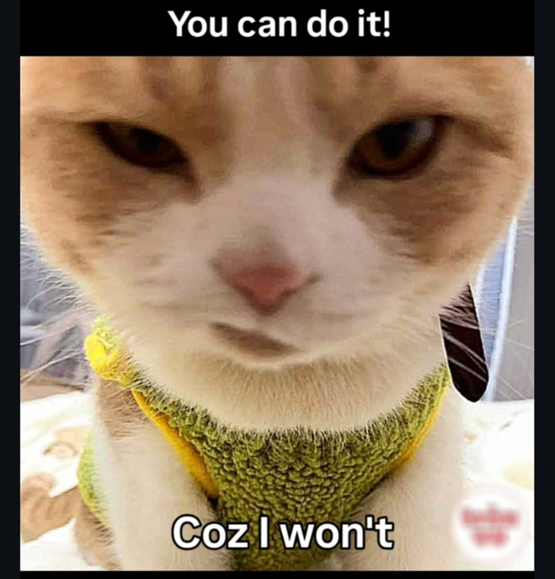 You can do it! Coz I won't