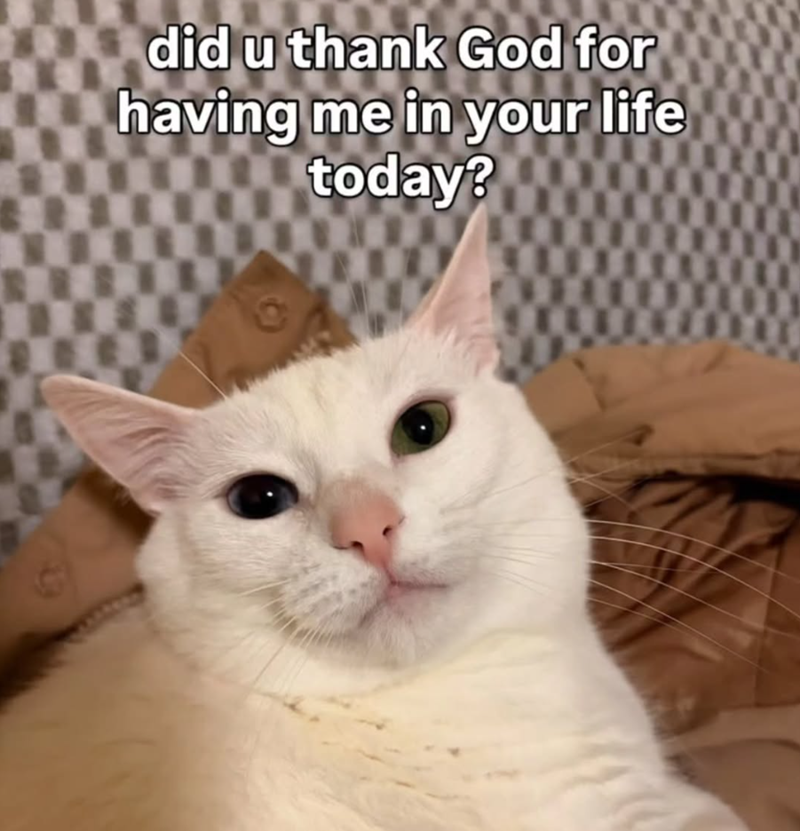 did u thank God for having me in your life today? 0000 I