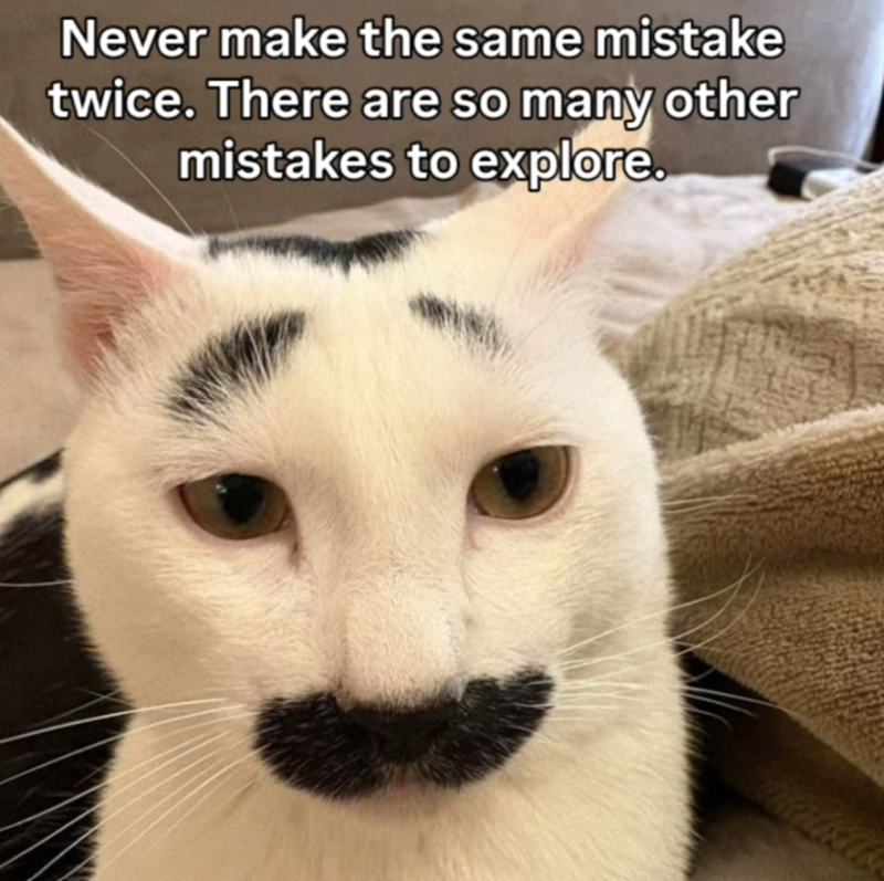 Never make the same mistake twice. There are so many other mistakes to explore.