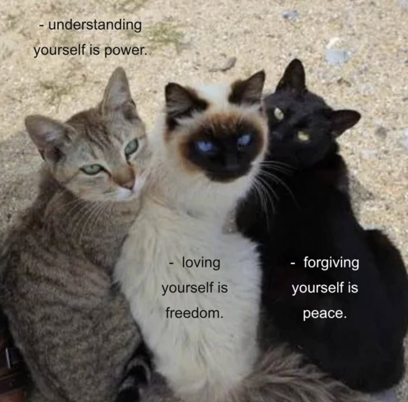 - understanding yourself is power. - loving yourself is freedom. - forgiving yourself is peace.