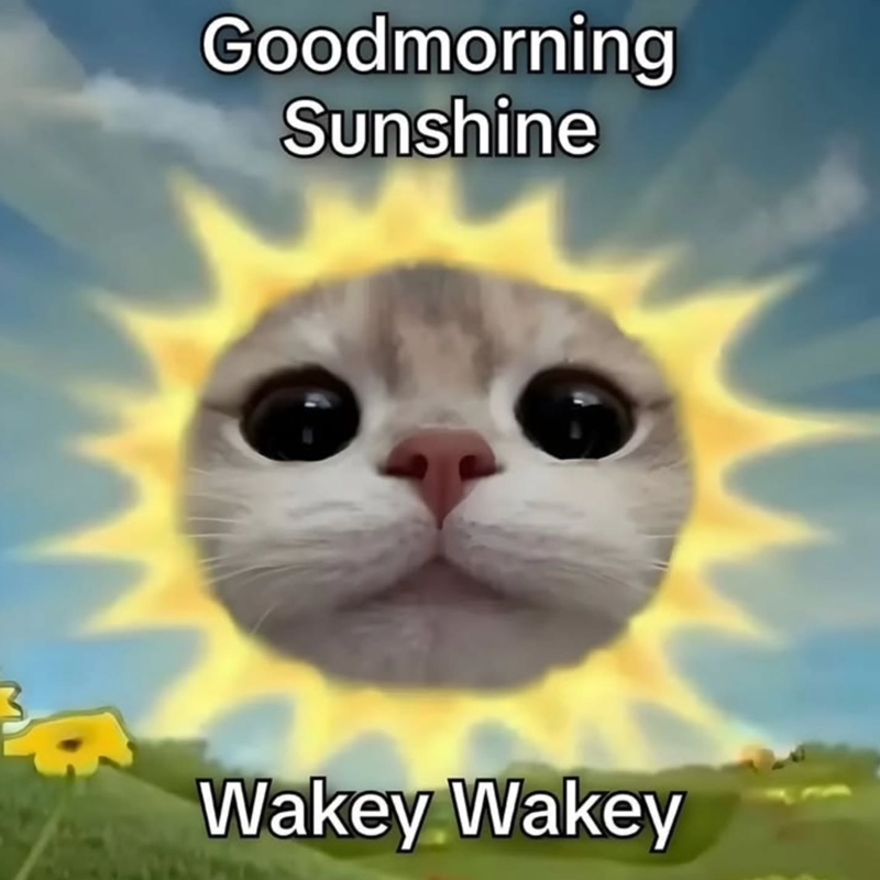 Goodmorning Sunshine Wakey Wakey