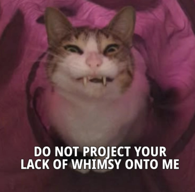 DO NOT PROJECT YOUR LACK OF WHIMSY ONTO ME