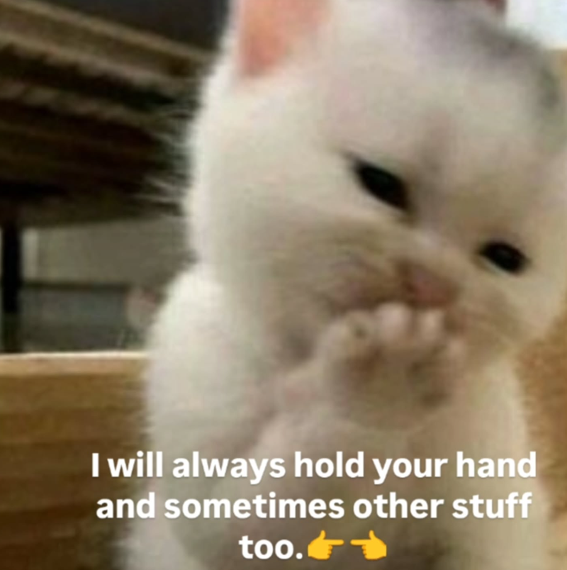 I will always hold your hand and sometimes other stuff too. ->