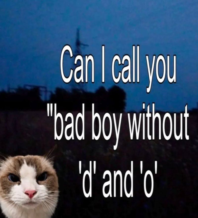 Can I call you "bad boy without 'd' and 'o'