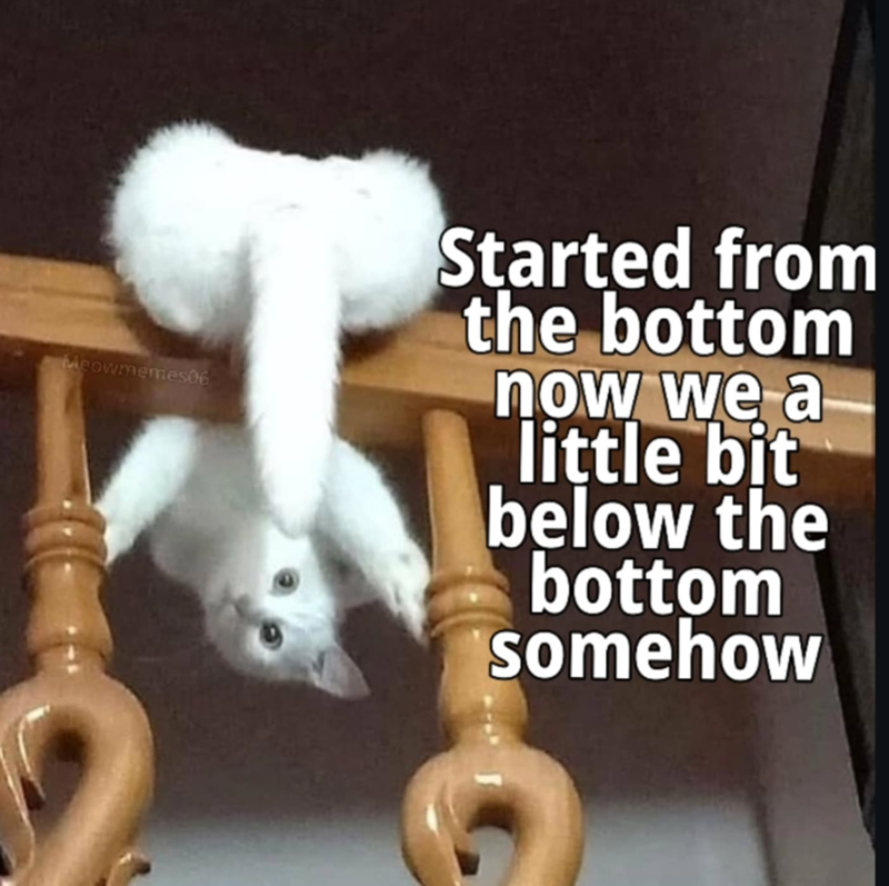 Meowmemes06 Started from the bottom now we a little bit below the bottom somehow