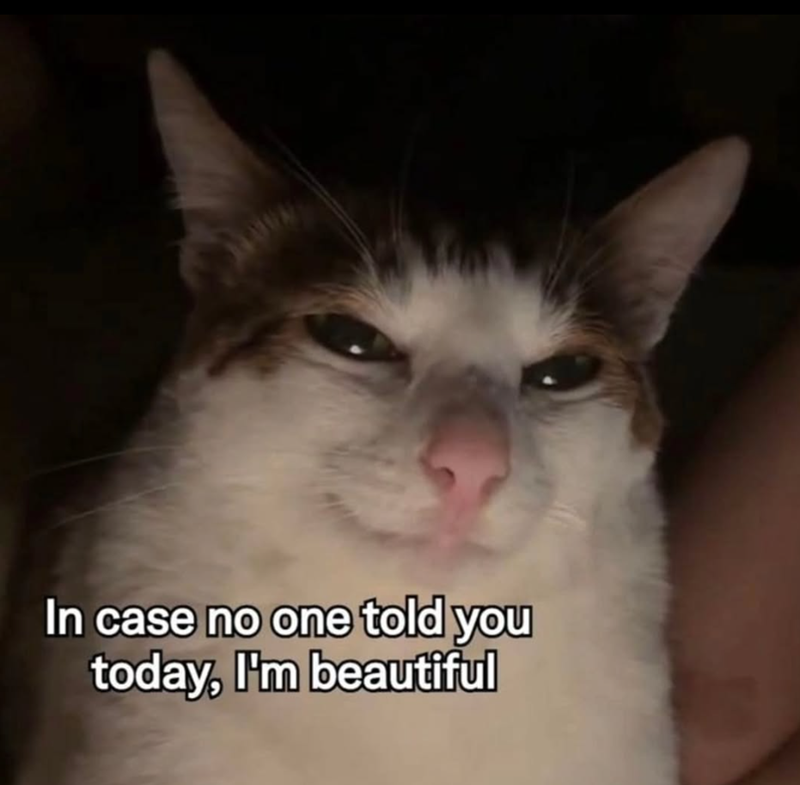 In case no one told you today, I'm beautiful