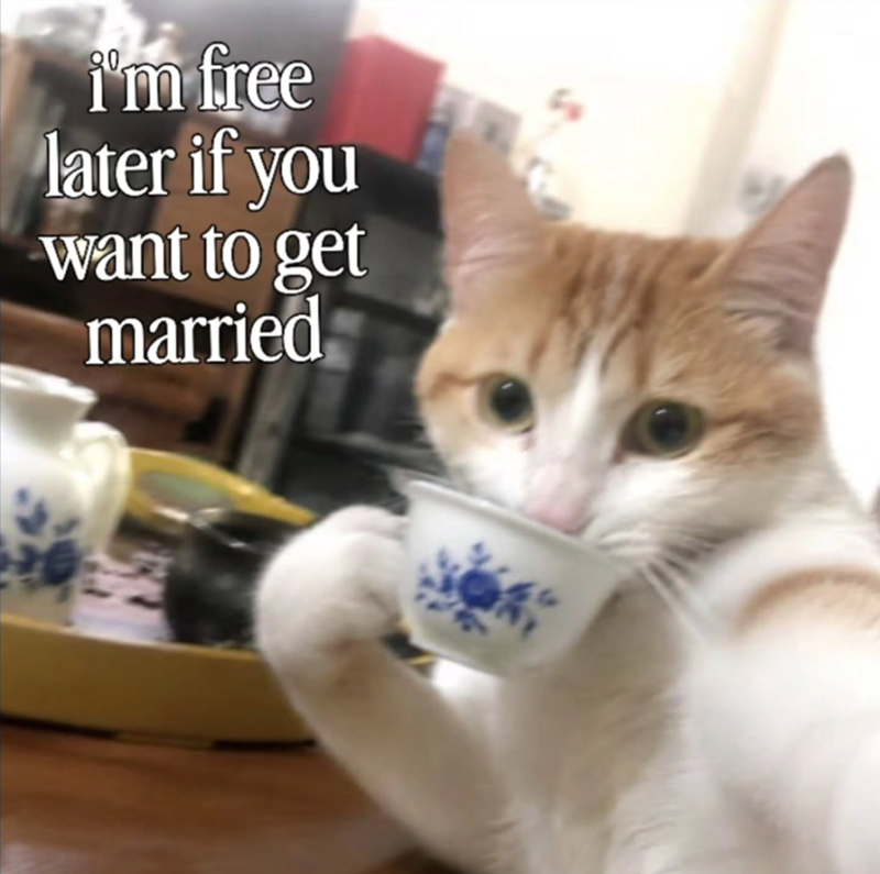 i'm free later if you want to get married