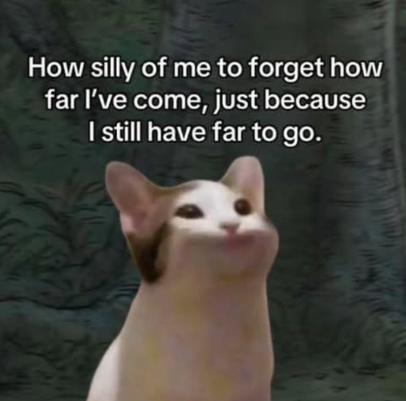 How silly of me to forget how far I've come, just because I still have far to go.