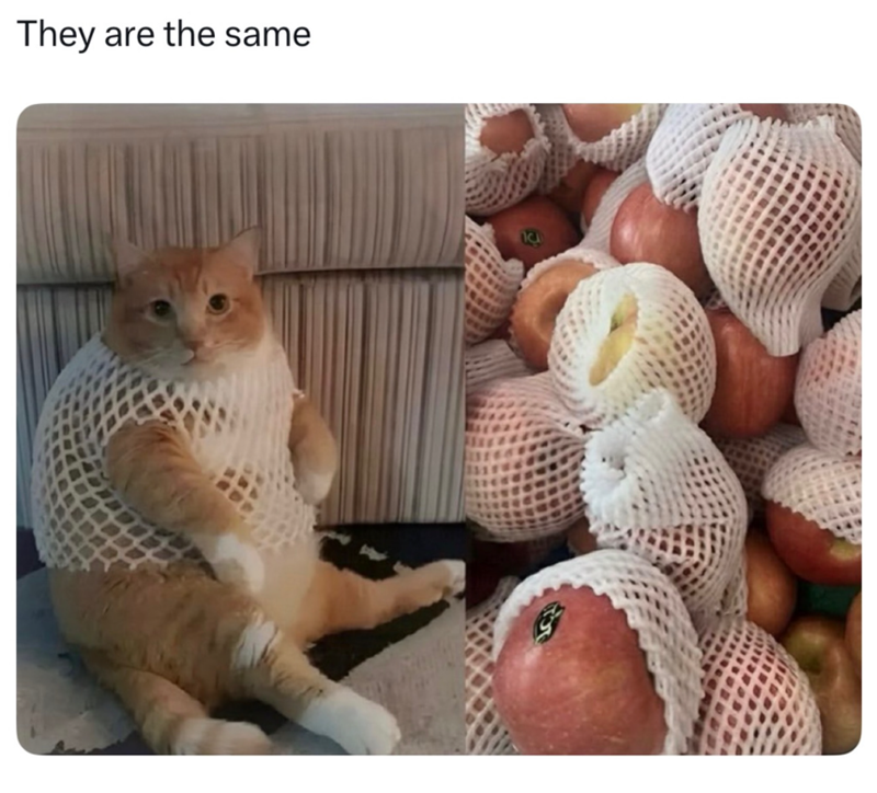 They are the same