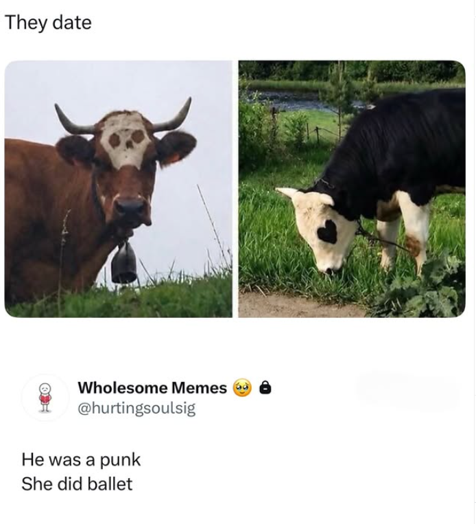 They date Wholesome Memes @hurtingsoulsig He was a punk She did ballet
