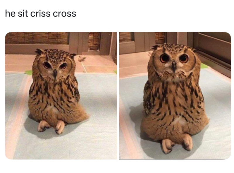 he sit criss cross