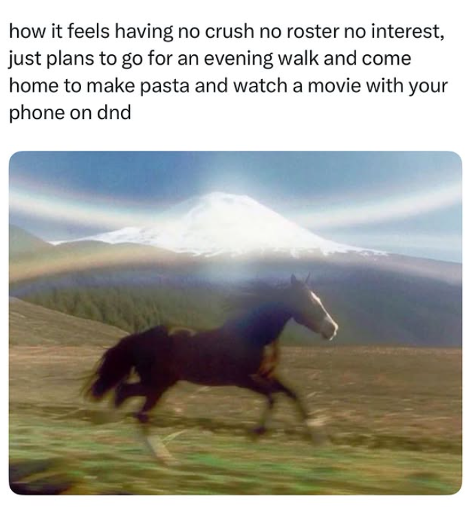 how it feels having no crush no roster no interest, just plans to go for an evening walk and come home to make pasta and watch a movie with your phone on dnd