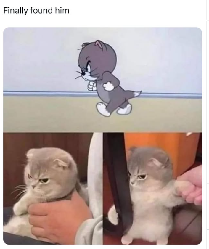 Finally found him