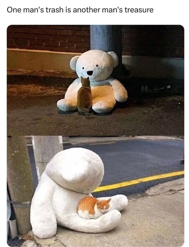 One man's trash is another man's treasure