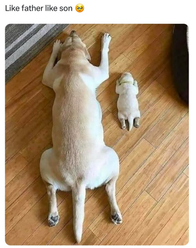 Like father like son