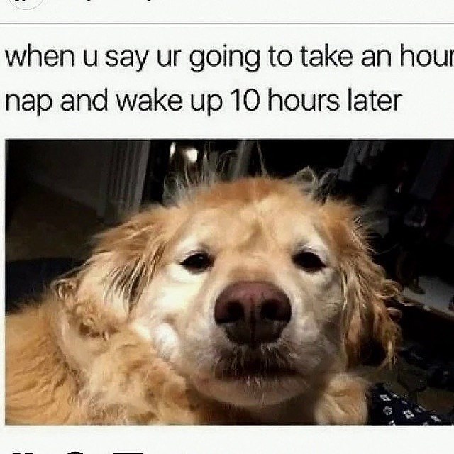 when u say ur going to take an hour nap and wake up 10 hours later