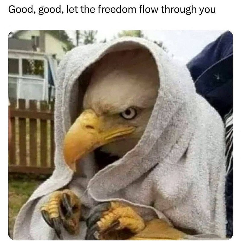 Good, good, let the freedom flow through you