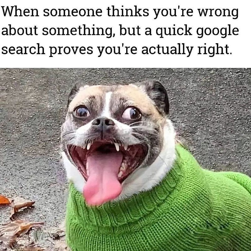 When someone thinks you're wrong about something, but a quick google search proves you're actually right.