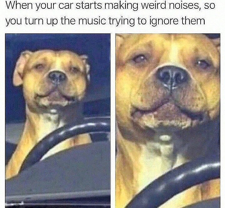 When your car starts making weird noises, so you turn up the music trying to ignore them