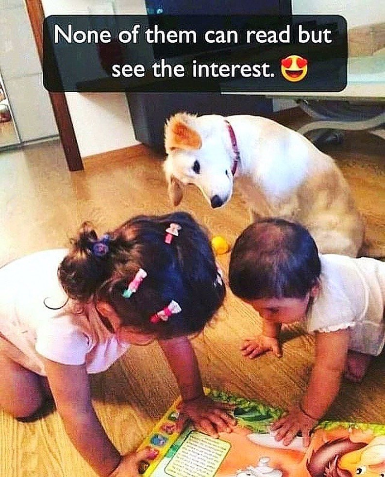 None of them can read but see the interest.