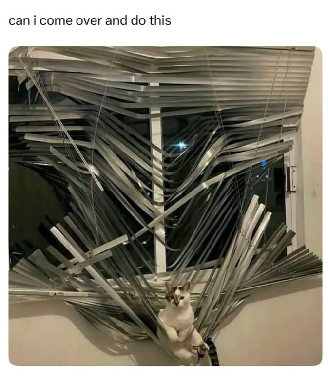 can i come over and do this