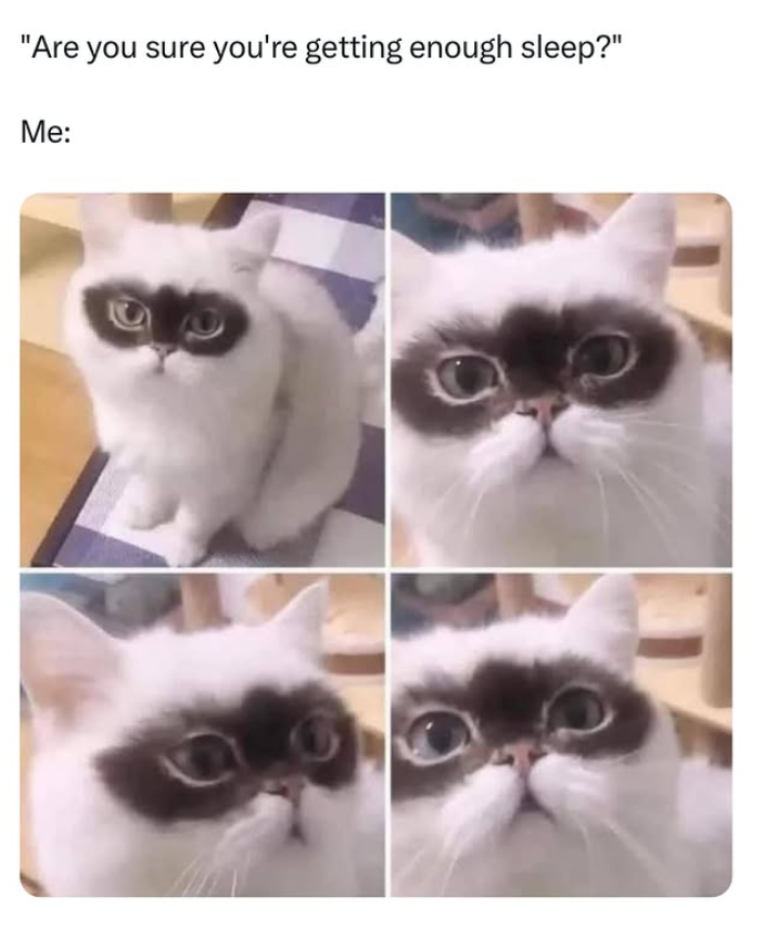 "Are you sure you're getting enough sleep?" Me: