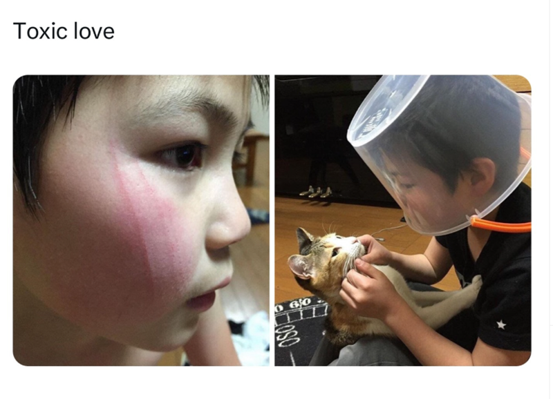 Toxic love 060 650