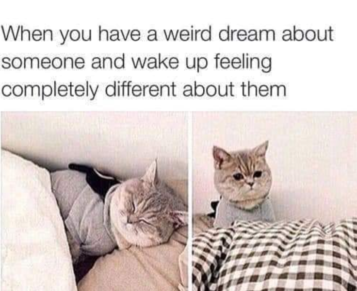 When you have a weird dream about someone and wake up feeling completely different about them