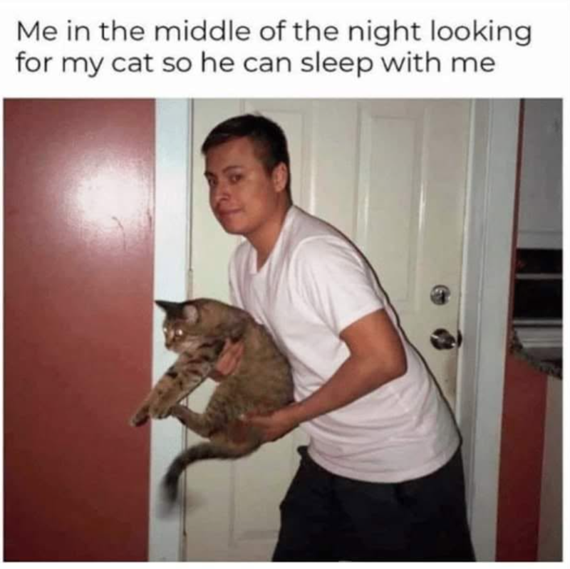 Me in the middle of the night looking for my cat so he can sleep with me