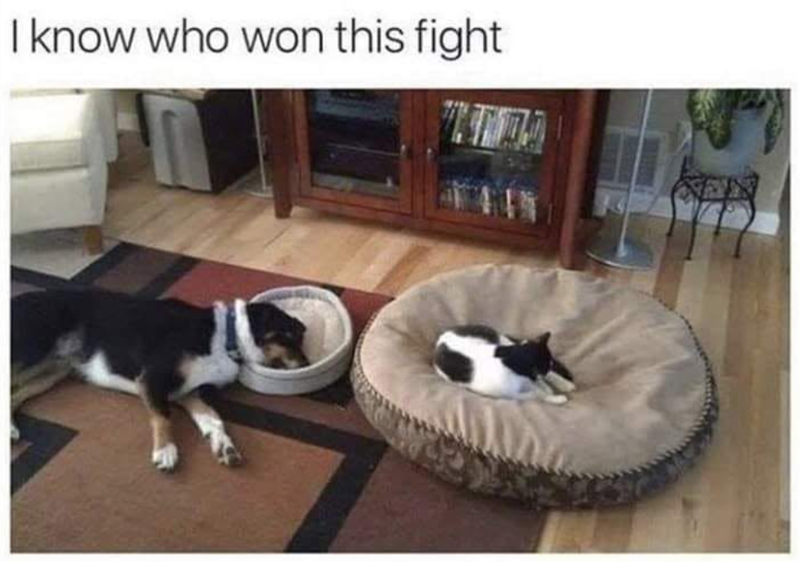 I know who won this fight