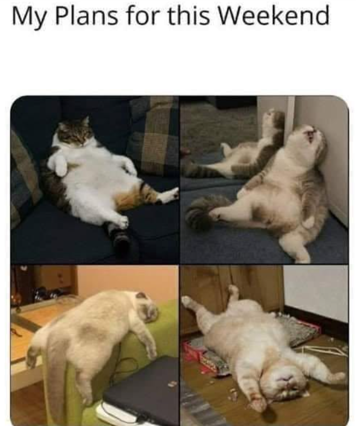 My Plans for this Weekend