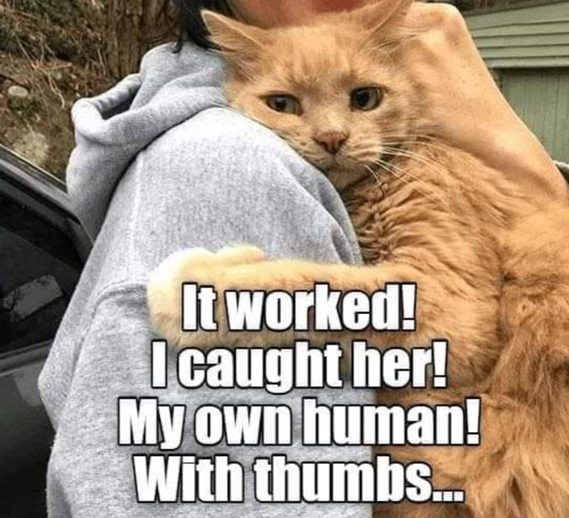 It worked! I caught her! My own human! With thumbs...