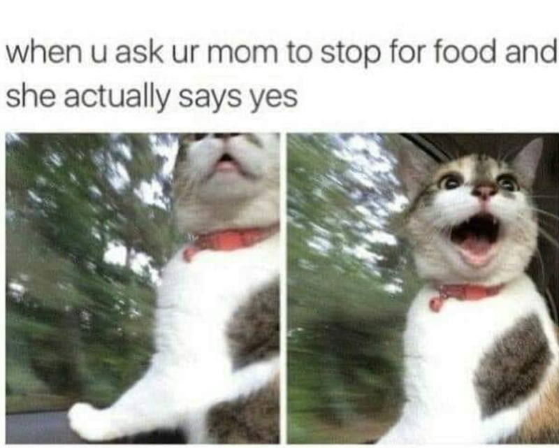 when u ask ur mom to stop for food and she actually says yes
