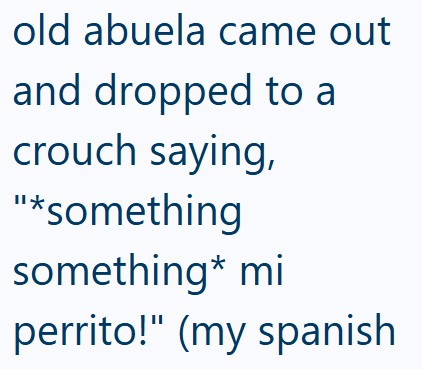 old abuela came out and dropped to a crouch saying, "*something something* mi perrito!" (my spanish