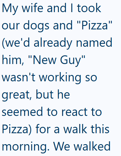 My wife and I took our dogs and "Pizza" (we'd already named him, "New Guy" wasn't working so great, but he seemed to react to Pizza) for a walk this morning. We walked