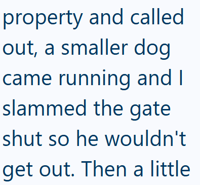 property and called out, a smaller dog came running and I slammed the gate shut so he wouldn't get out. Then a little