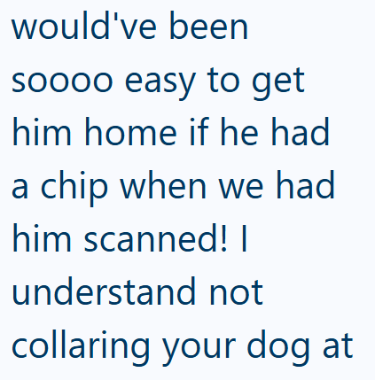 would've been soooo easy to get him home if he had a chip when we had him scanned! I understand not collaring your dog at