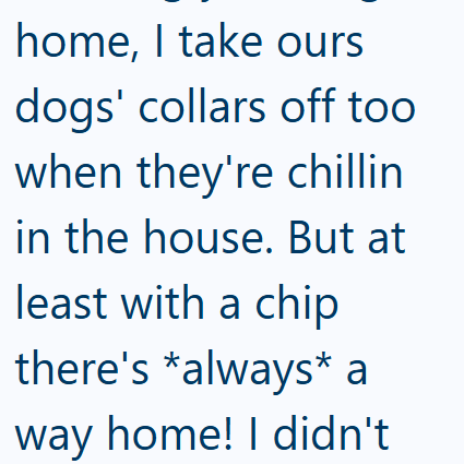 home, I take ours dogs' collars off too when they're chillin in the house. But at least with a chip there's *always* a way home! I didn't