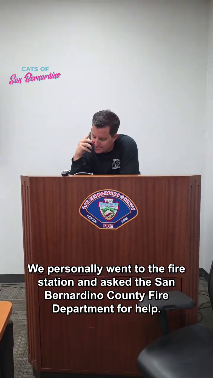 CATS OF San Bernardino R AN BERNARDINO RESCUE FIRE COUNTY EMS We personally went to the fire station and asked the San Bernardino County Fire Department for help.