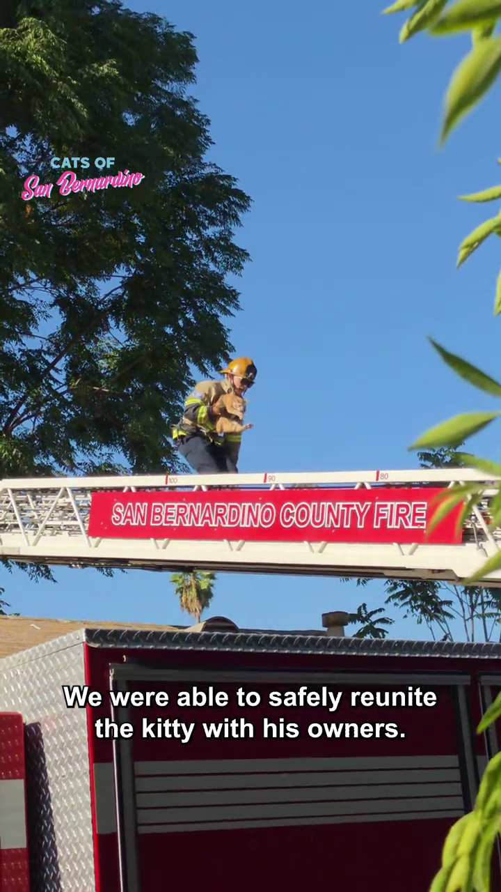 CATS OF San Bernardine 80 SAN BERNARDINO COUNTY FIRE We were able to safely reunite the kitty with his owners.