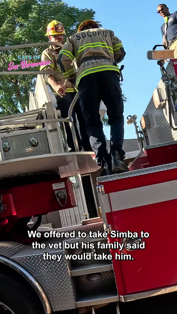 Sun Vemunding SBCOFD We offered to take Simba to the vet but his family said they would take him.
