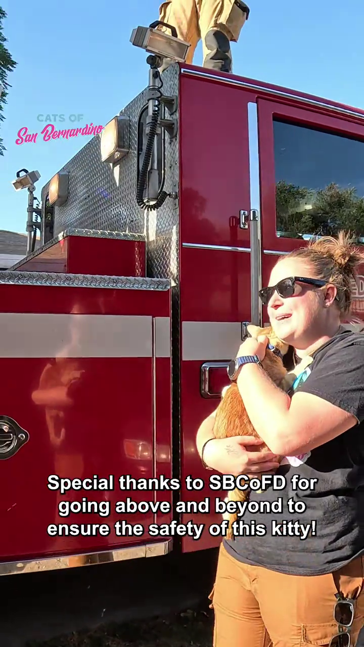 CATS OF San Bernardino Special thanks to SBCOFD for going above and beyond to ensure the safety of this kitty!