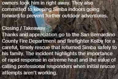 owners took him in right away. They also committed to keeping Simba indoors going forward to prevent further outdoor adventures. Closing/Takeaway Thanks and appreciation go to the San Bernardino County Fire Department and firefighter Kolby for a careful, timely rescue that returned Simba safely to his family. The incident highlights the importance of rapid response in extreme heat and the value of calling professional responders when initial rescue attempts aren't working.