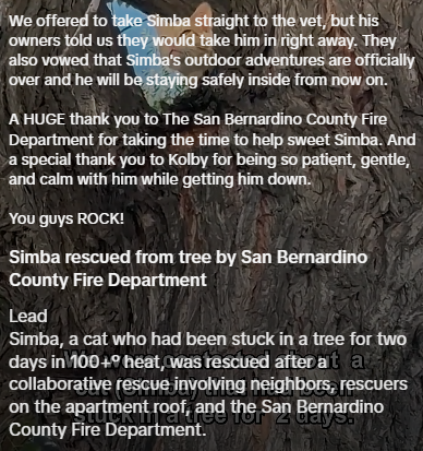 We offered to take Simba straight to the vet, but his owners told us they would take him in right away. They also vowed that Simba's outdoor adventures are officially over and he will be staying safely inside from now on. A HUGE thank you to The San Bernardino County Fire Department for taking the time to help sweet Simba. And a special thank you to Kolby for being so patient, gentle, and calm with him while getting him down. You guys ROCK! Simba rescued from tree by San Bernardino County Fire D