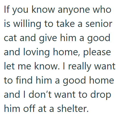 If you know anyone who is willing to take a senior cat and give him a good and loving home, please let me know. I really want to find him a good home and I don't want to drop him off at a shelter.